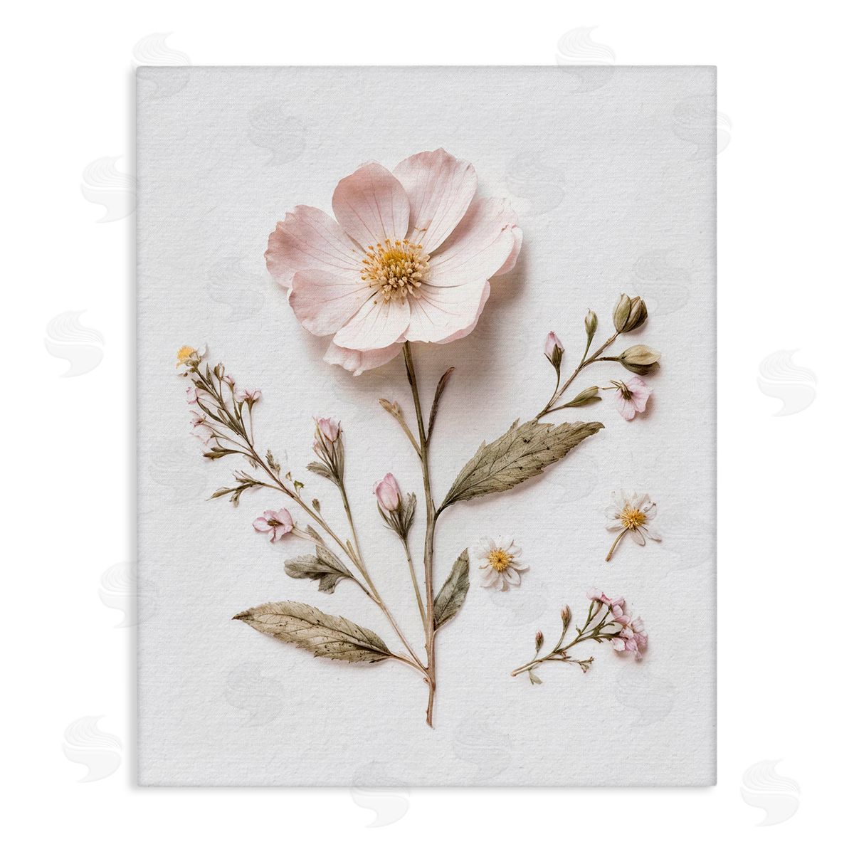 Lettered and Lined Pressed Wild Flowers Stretched Canvas Wall Art Print
