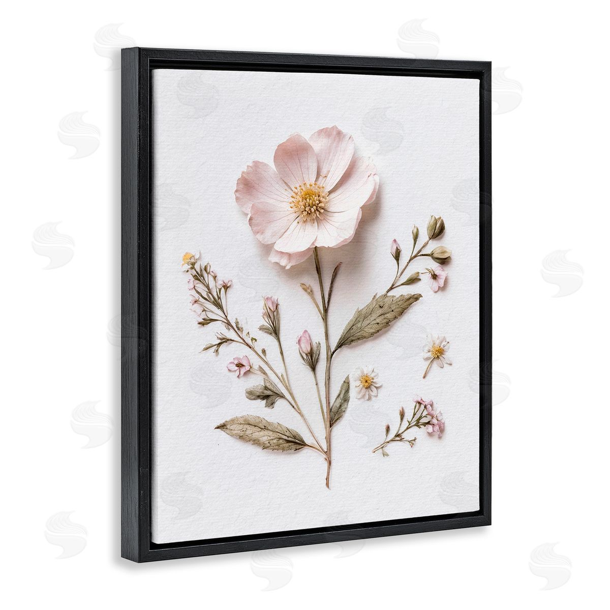 Lettered and Lined Pressed Wild Flowers Black Floating Frame Canvas Wall Art Print