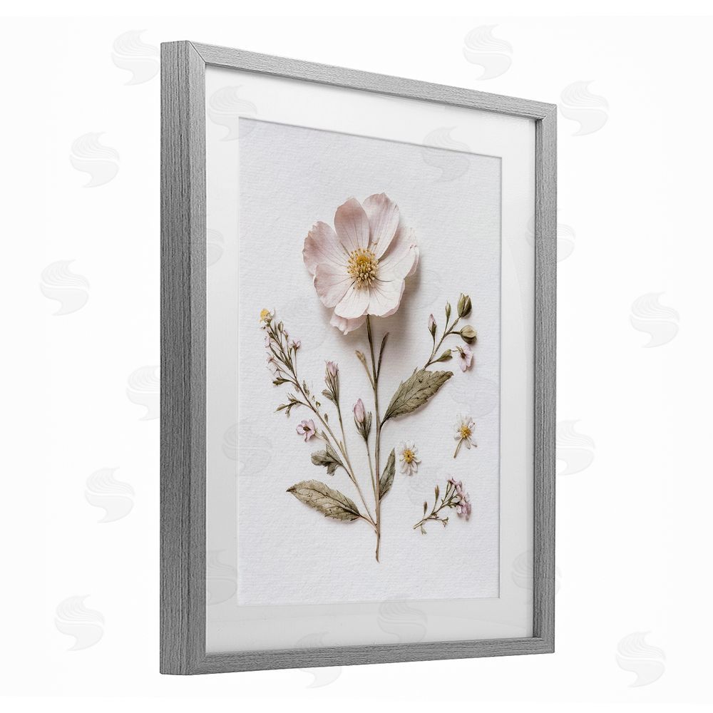 Lettered and Lined Pressed Wild Flowers Gray Framed Print Under Glass Wall Art