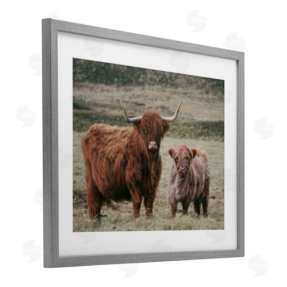 Lettered and Lined Mom & Baby Cow Gray Framed Print Under Glass Wall Art