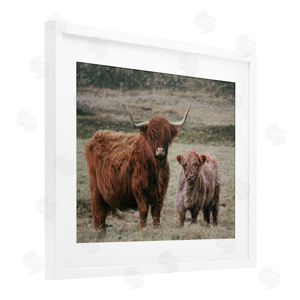 Lettered and Lined Mom & Baby Cow White Framed Print Under Glass Wall Art