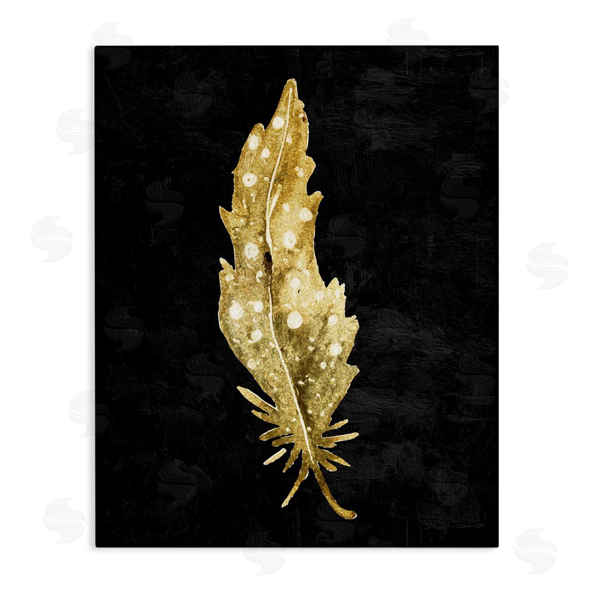 Kim Allen Feather On Black Stretched Canvas Wall Art Print