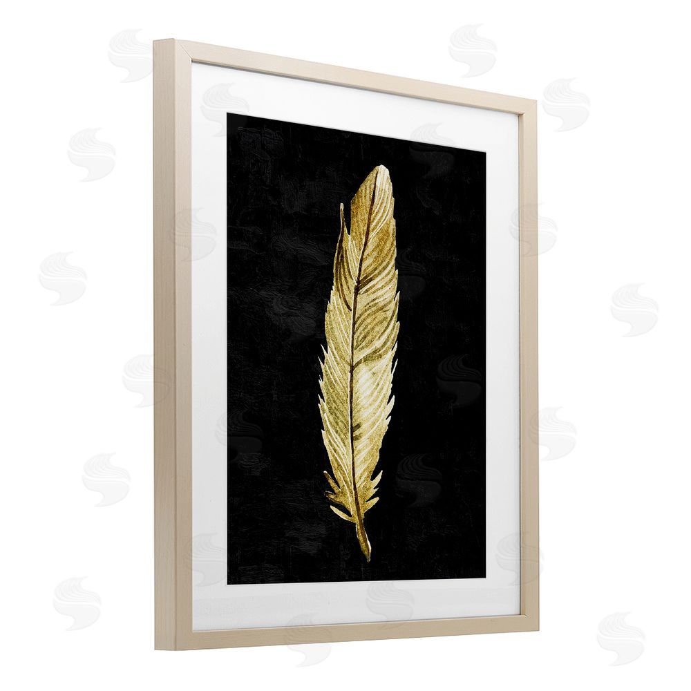 Kim Allen Curved Feather on Black Brown Framed Print Under Glass Wall Art