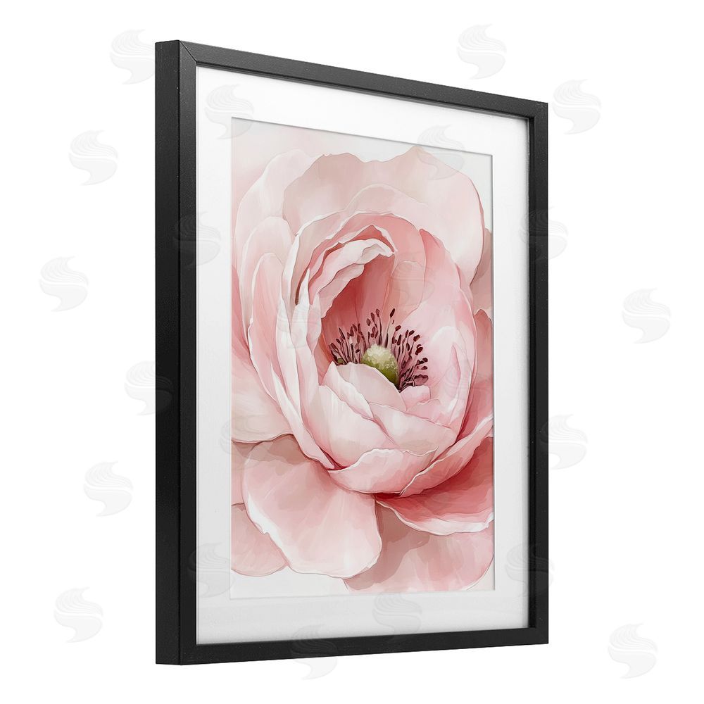 Christine Simpson Art Fresh Rosy Close Up Petals Black Framed Print Under Glass Wall Art