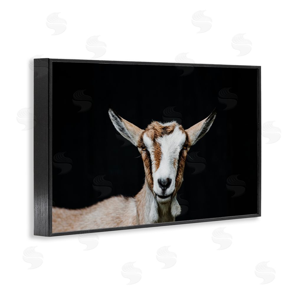 Amy Carroll Goat Face over Black Black Framed Giclee Print Wall Art