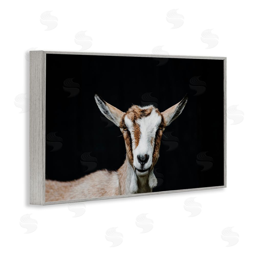 Amy Carroll Goat Face over Black Gray Framed Giclee Print Wall Art