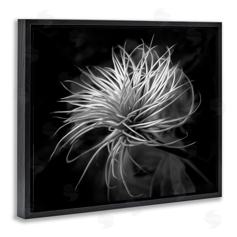 Phillip Flowers Twisting Botanical Leaves Contrast Black Floating Frame Canvas Wall Art Print