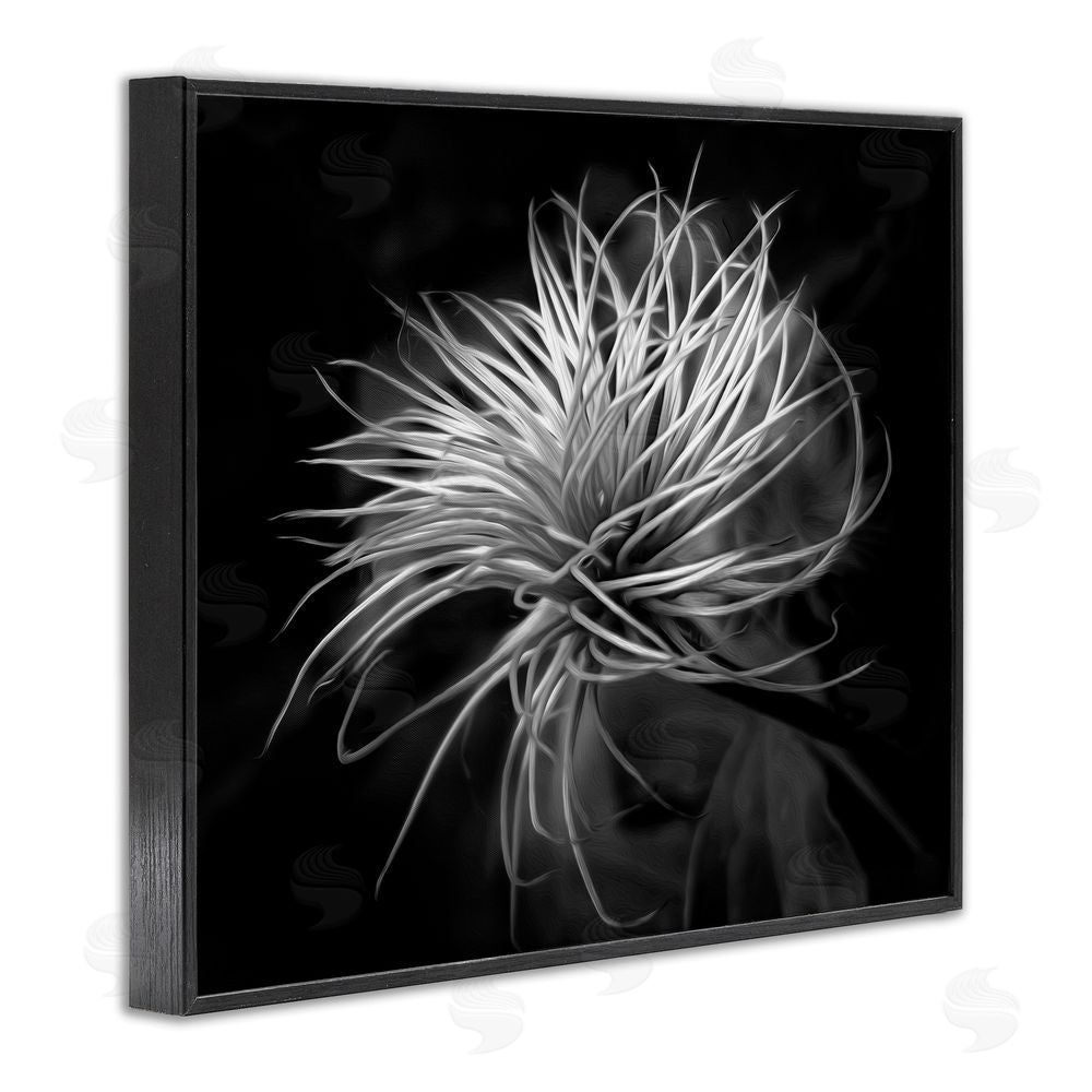 Phillip Flowers Twisting Botanical Leaves Contrast Black Framed Giclee Print Wall Art