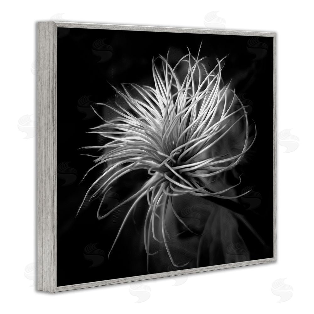 Phillip Flowers Twisting Botanical Leaves Contrast Gray Framed Giclee Print Wall Art