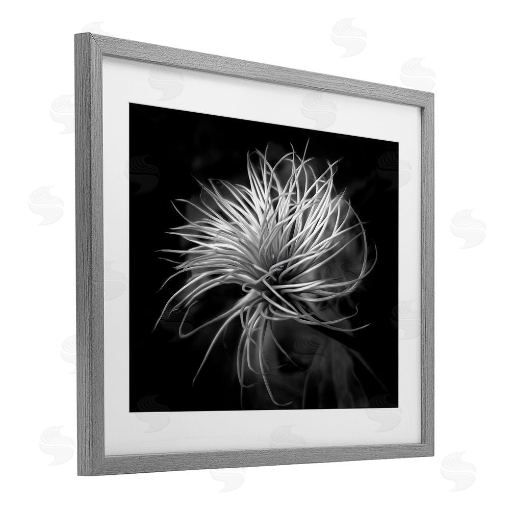 Phillip Flowers Twisting Botanical Leaves Contrast Gray Framed Print Under Glass Wall Art