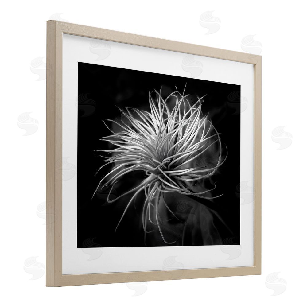 Phillip Flowers Twisting Botanical Leaves Contrast Brown Framed Print Under Glass Wall Art