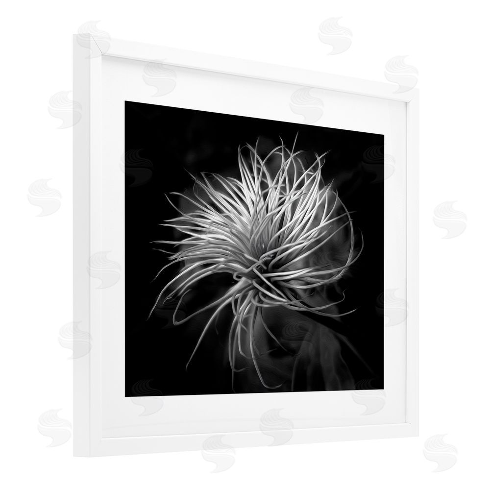Phillip Flowers Twisting Botanical Leaves Contrast White Framed Print Under Glass Wall Art