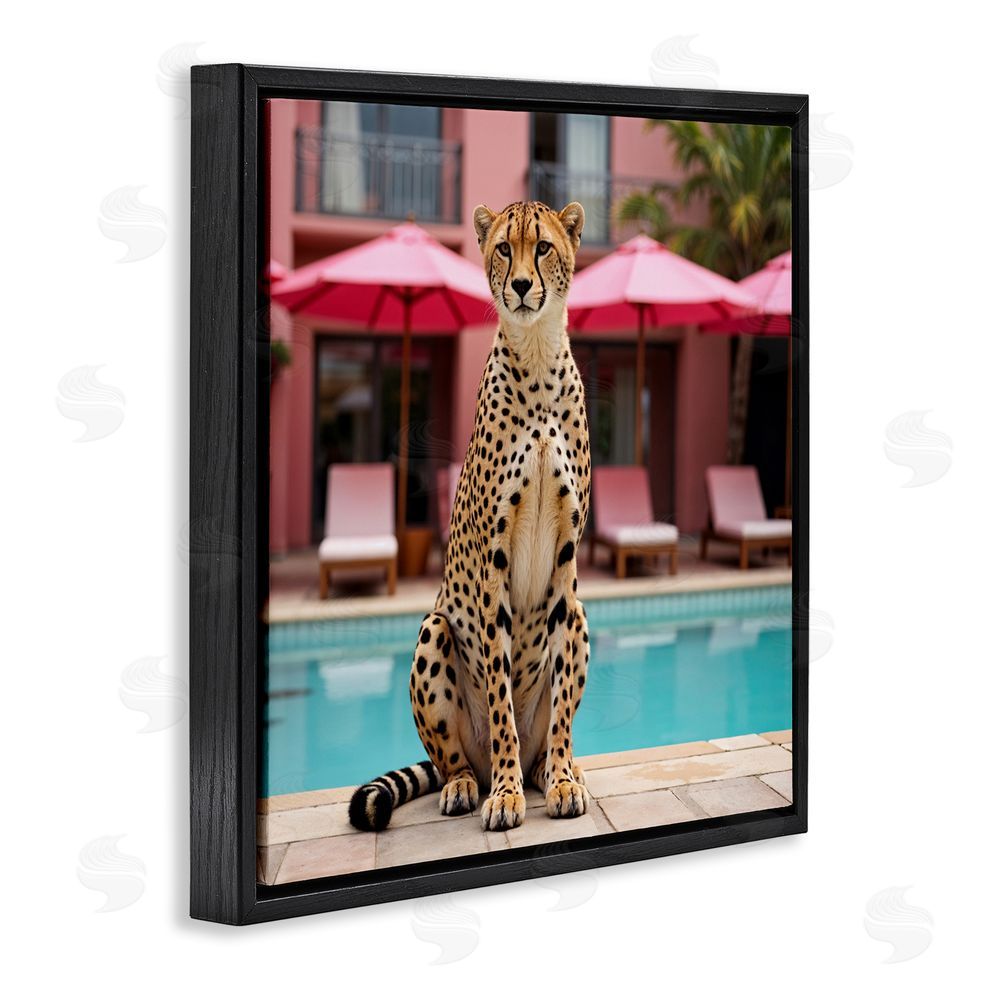 Lettered and Lined Cheetah Posed at Poolside Black Floating Frame Canvas Wall Art Print