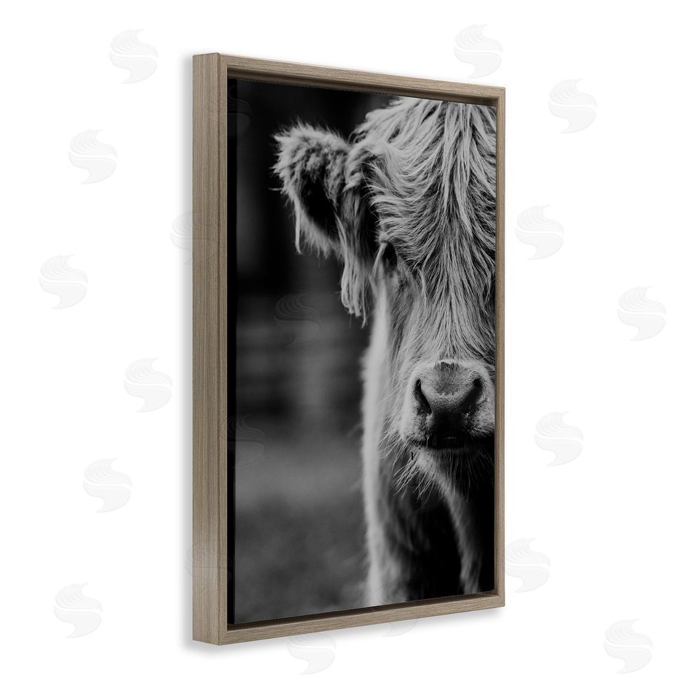 Amy Carroll Baby Cow Face Brown Floating Frame Canvas Wall Art Print