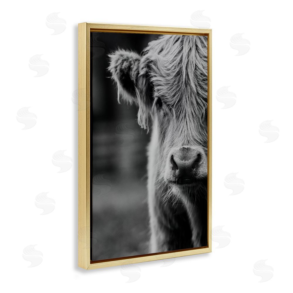 Amy Carroll Baby Cow Face Gold Floating Frame Canvas Wall Art Print