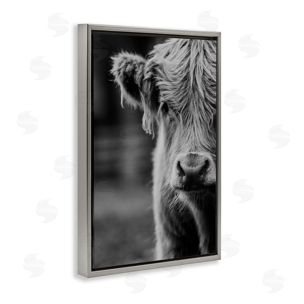 Amy Carroll Baby Cow Face Gray Floating Frame Canvas Wall Art Print