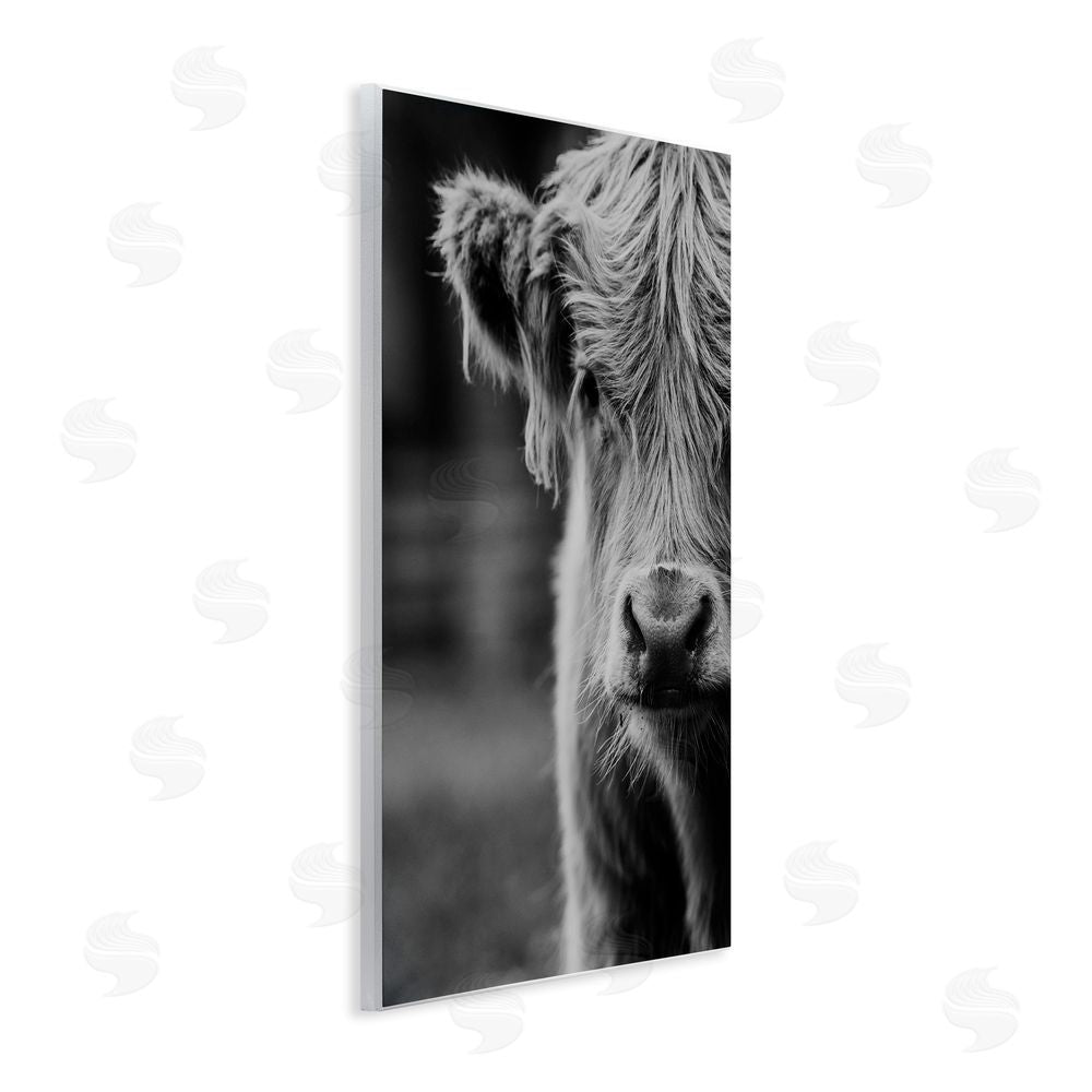 Amy Carroll Baby Cow Face Wooden Wall Plaque Art Print