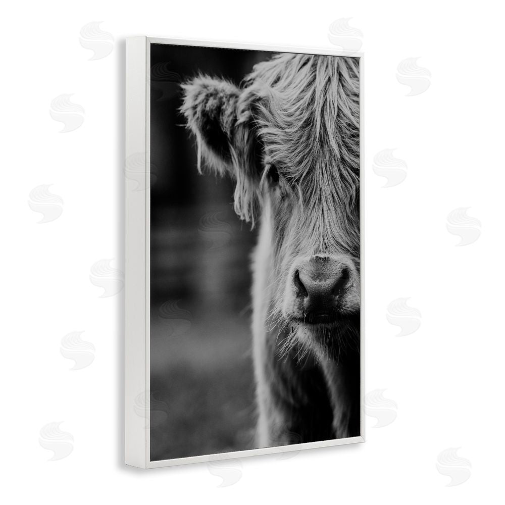 Amy Carroll Baby Cow Face White Framed Giclee Print Wall Art