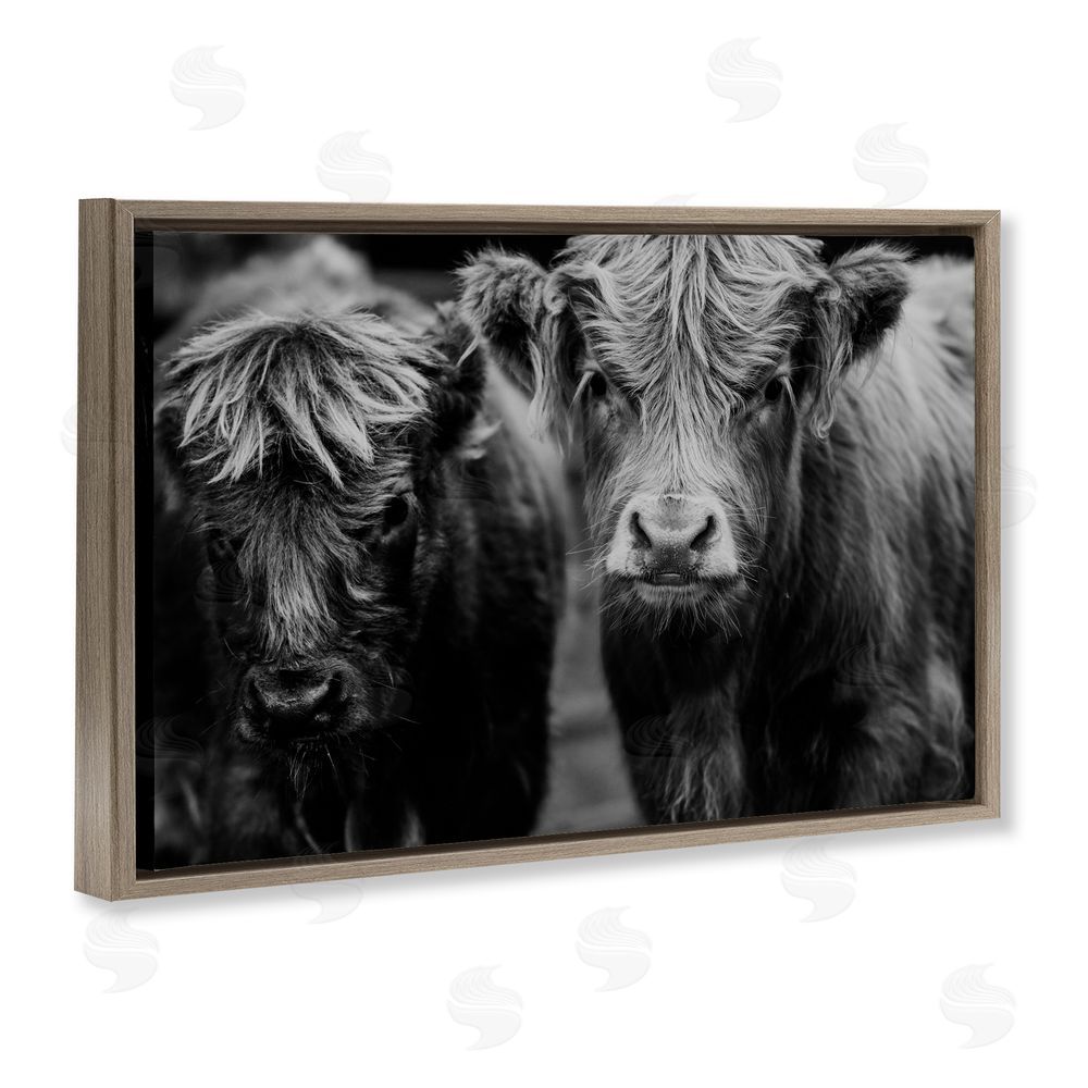 Amy Carroll Cow Faces on Farm Brown Floating Frame Canvas Wall Art Print