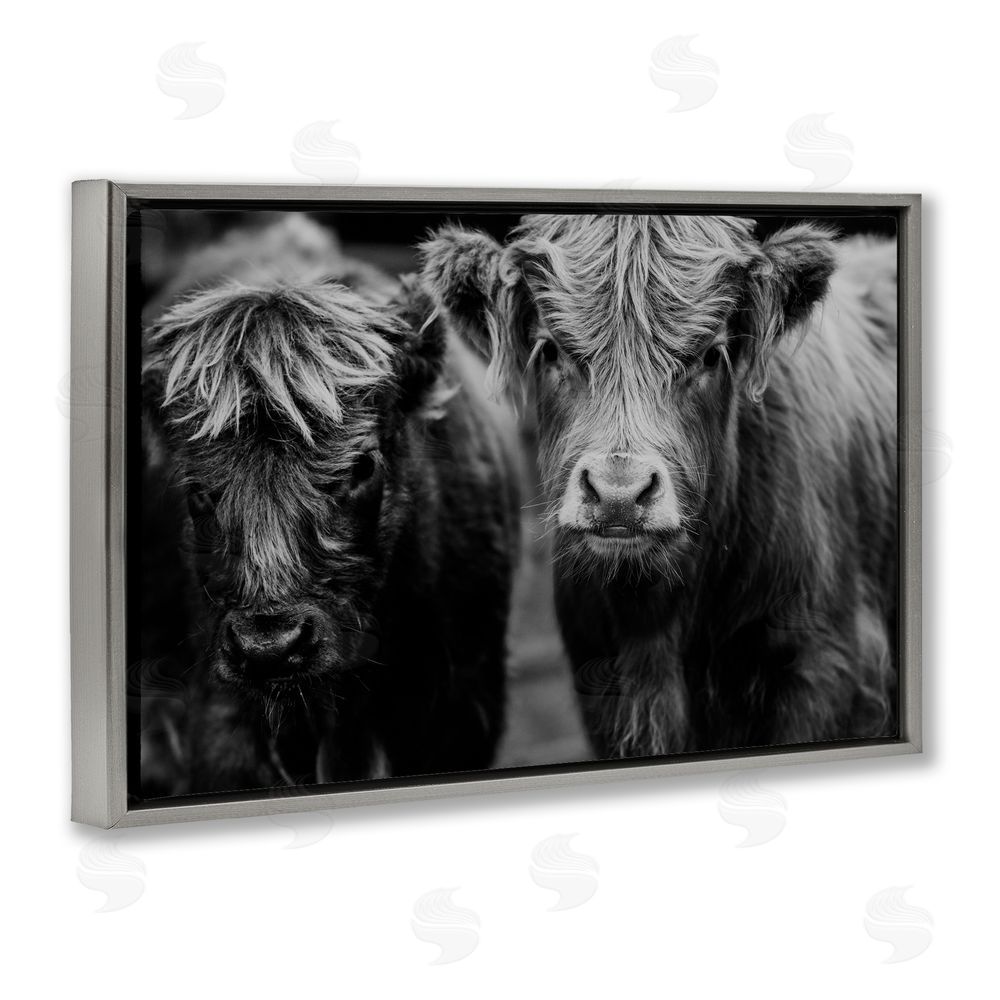 Amy Carroll Cow Faces on Farm Gray Floating Frame Canvas Wall Art Print