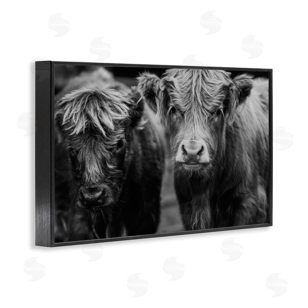 Amy Carroll Cow Faces on Farm Black Framed Giclee Print Wall Art