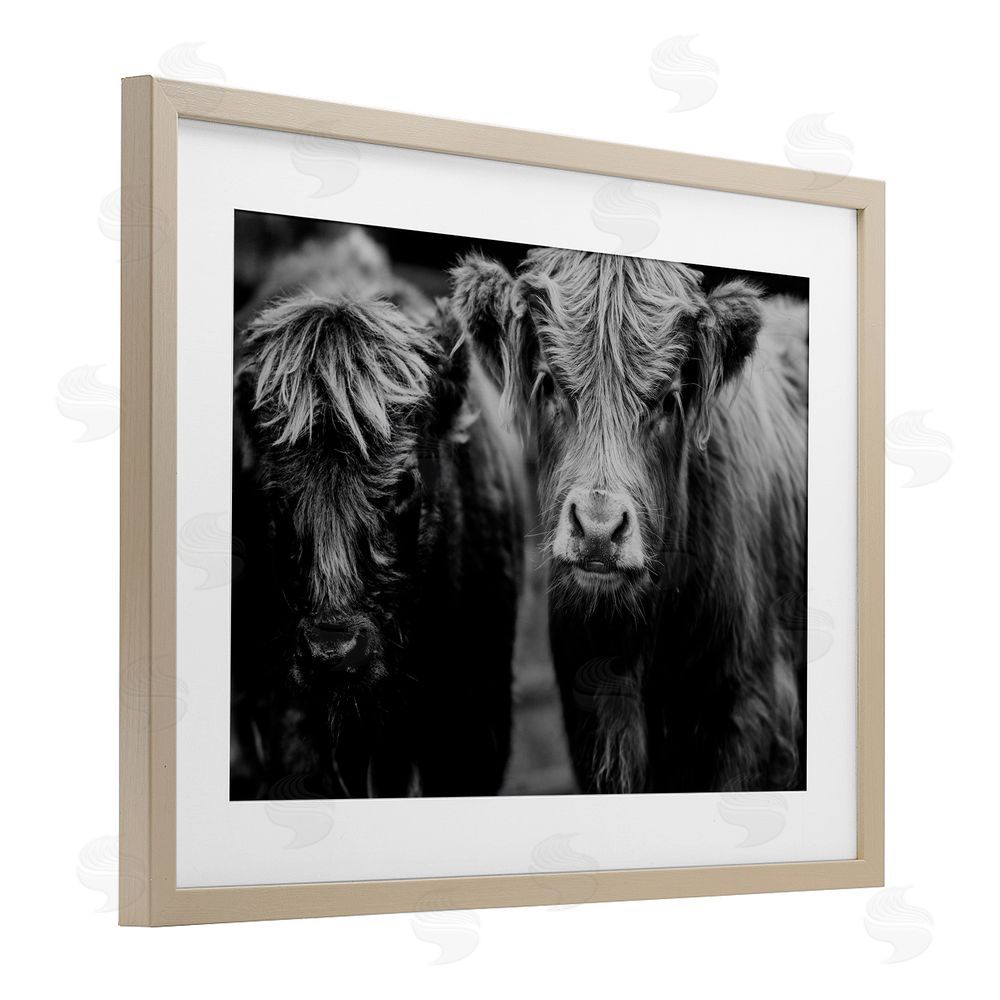Amy Carroll Cow Faces on Farm Brown Framed Print Under Glass Wall Art