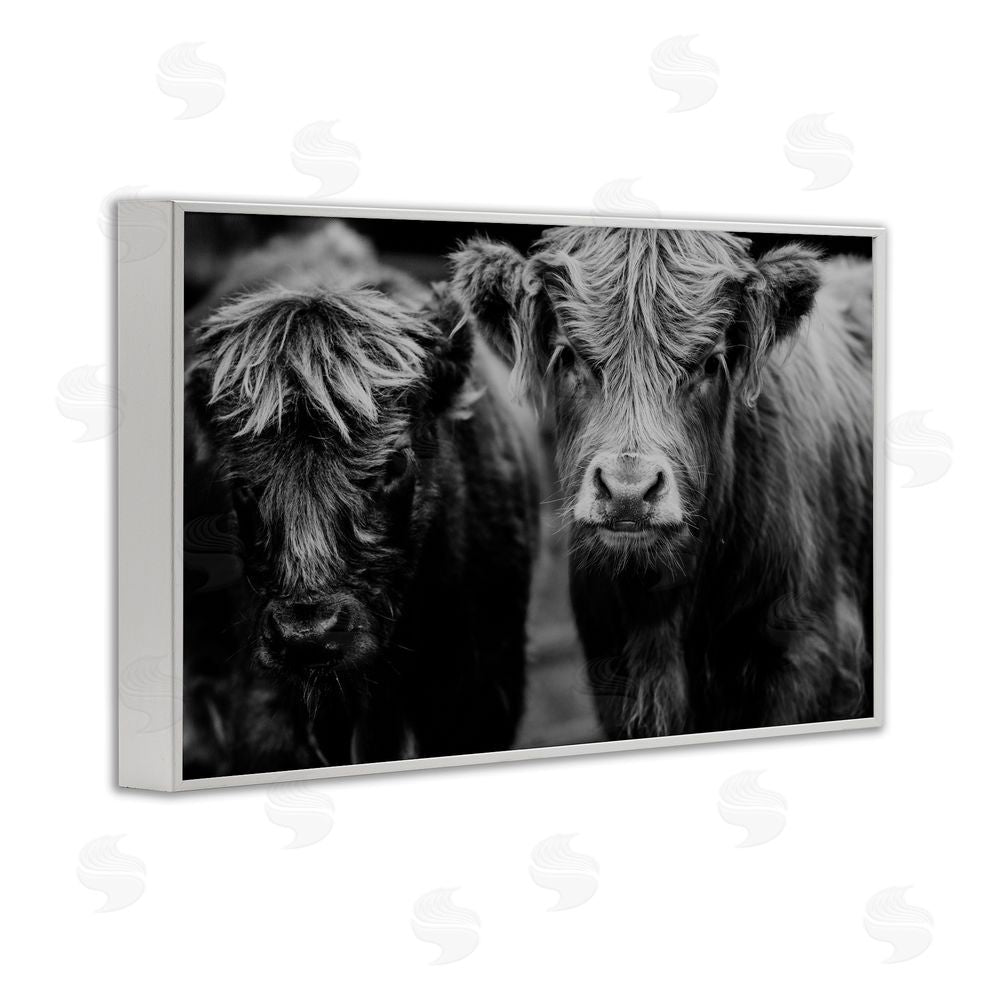 Amy Carroll Cow Faces on Farm White Framed Giclee Print Wall Art