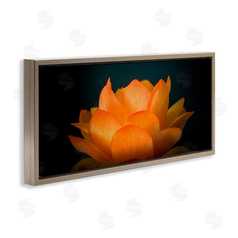 Phillip Flowers Glowing Orange Lotus Brown Floating Frame Canvas Wall Art Print