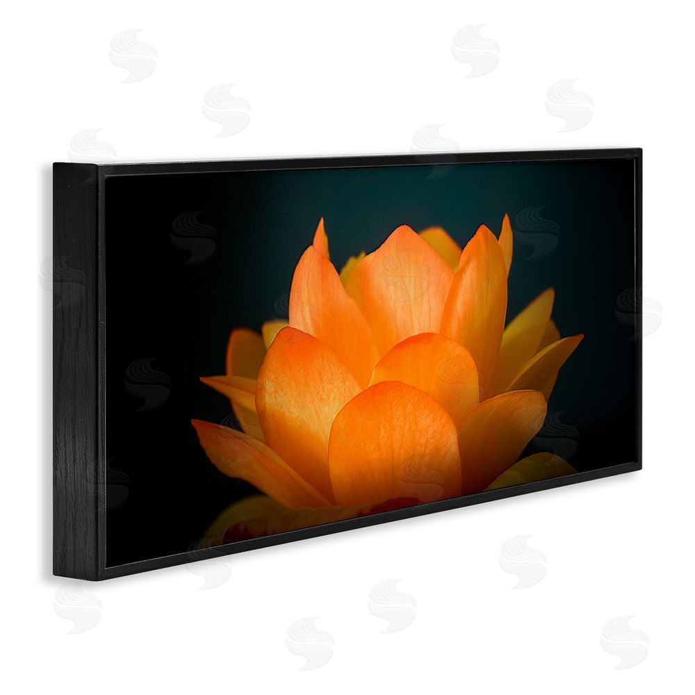 Phillip Flowers Glowing Orange Lotus Black Framed Giclee Print Wall Art