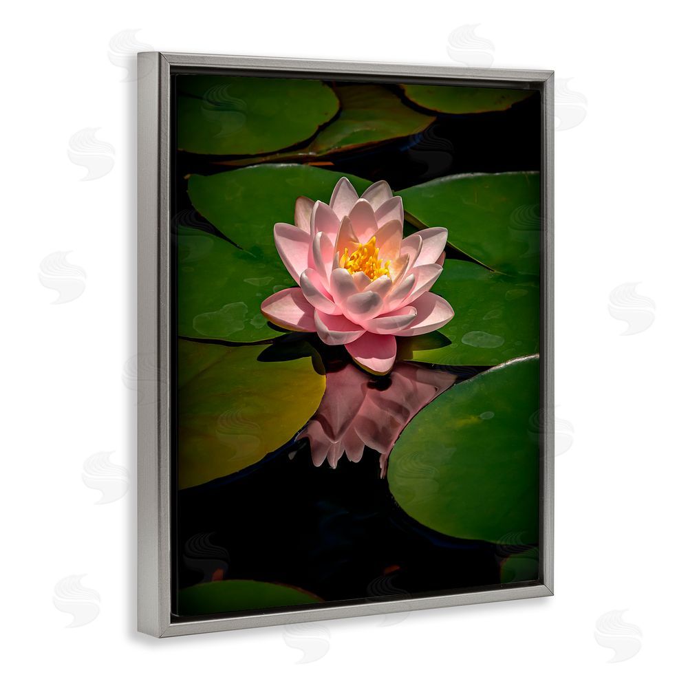 Phillip Flowers Pink Lotus Among Lily Pads Gray Floating Frame Canvas Wall Art Print