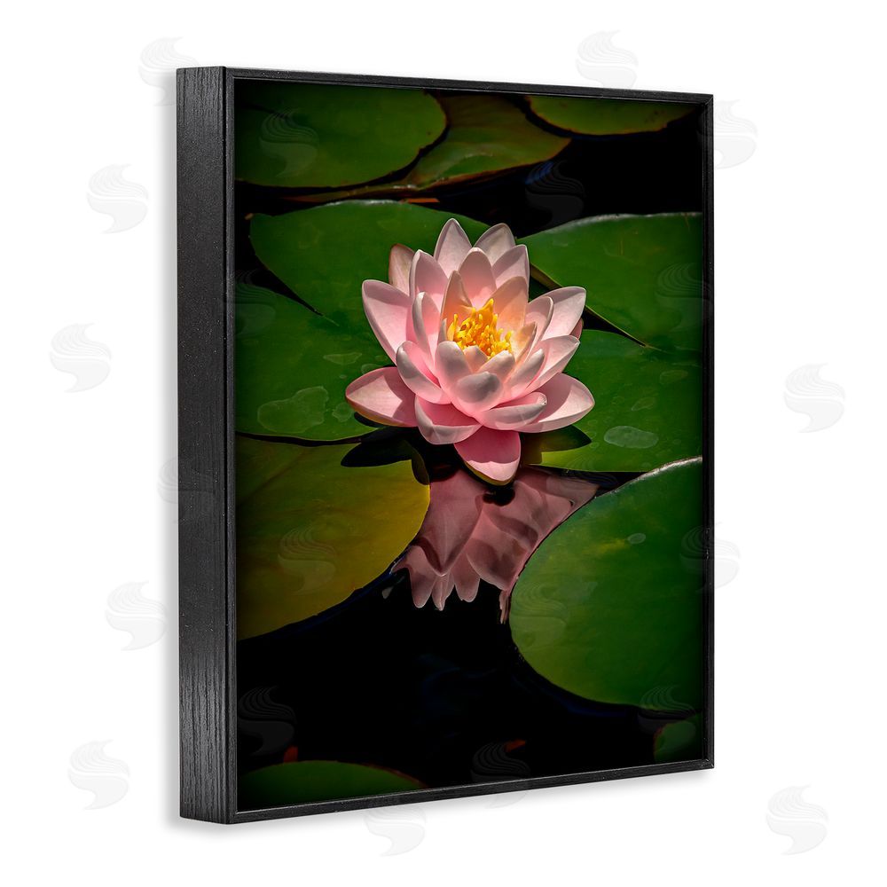 Phillip Flowers Pink Lotus Among Lily Pads Black Framed Giclee Print Wall Art