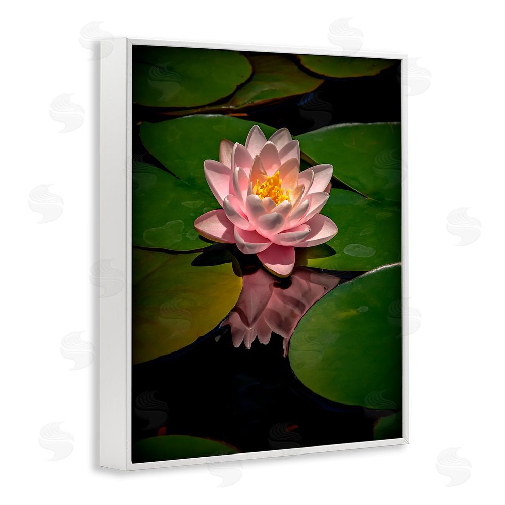 Phillip Flowers Pink Lotus Among Lily Pads White Framed Giclee Print Wall Art