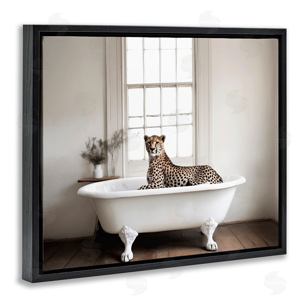 Sasha Big Cat Cheetah Bath Time Black Floating Frame Canvas Wall Art Print