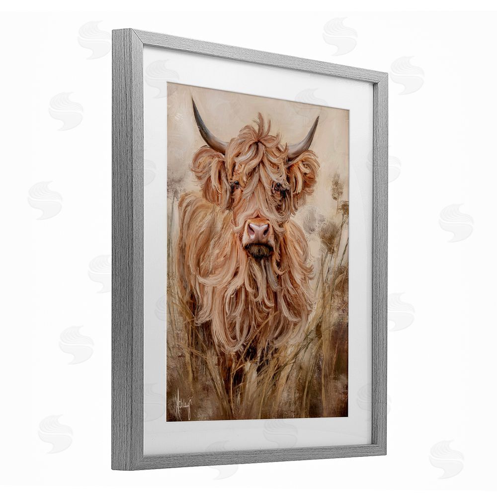 Ashley Bradley Curly Haired Highland Cattle Gray Framed Print Under Glass Wall Art