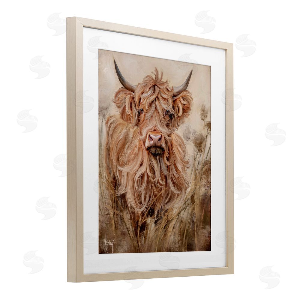 Ashley Bradley Curly Haired Highland Cattle Brown Framed Print Under Glass Wall Art