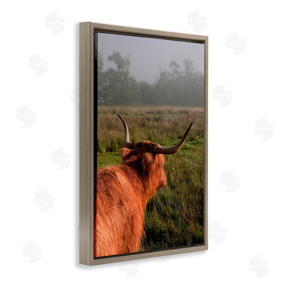 Jenny Rainbow Fine Art Highland Cow Gazing Out Brown Floating Frame Canvas Wall Art Print
