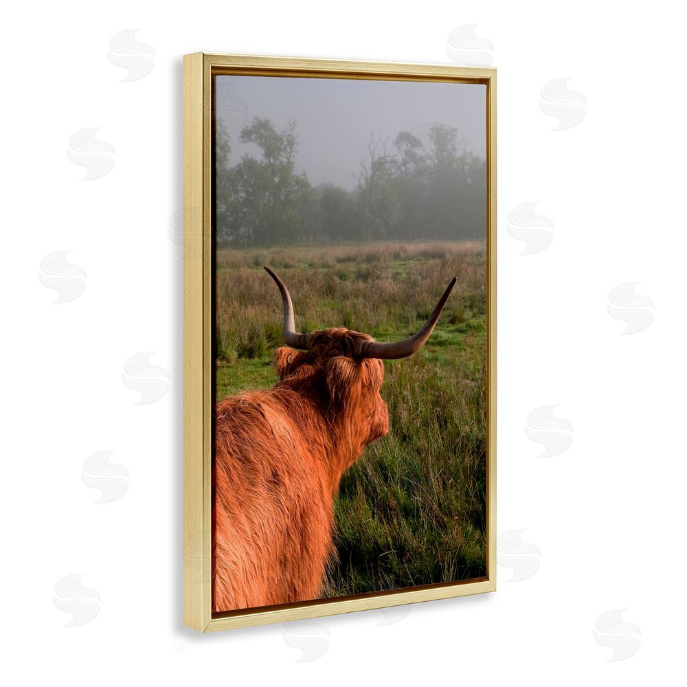 Jenny Rainbow Fine Art Highland Cow Gazing Out Gold Floating Frame Canvas Wall Art Print