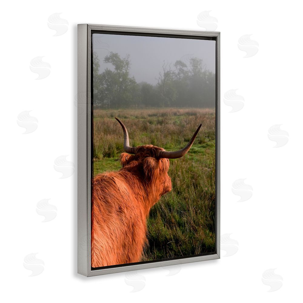 Jenny Rainbow Fine Art Highland Cow Gazing Out Gray Floating Frame Canvas Wall Art Print