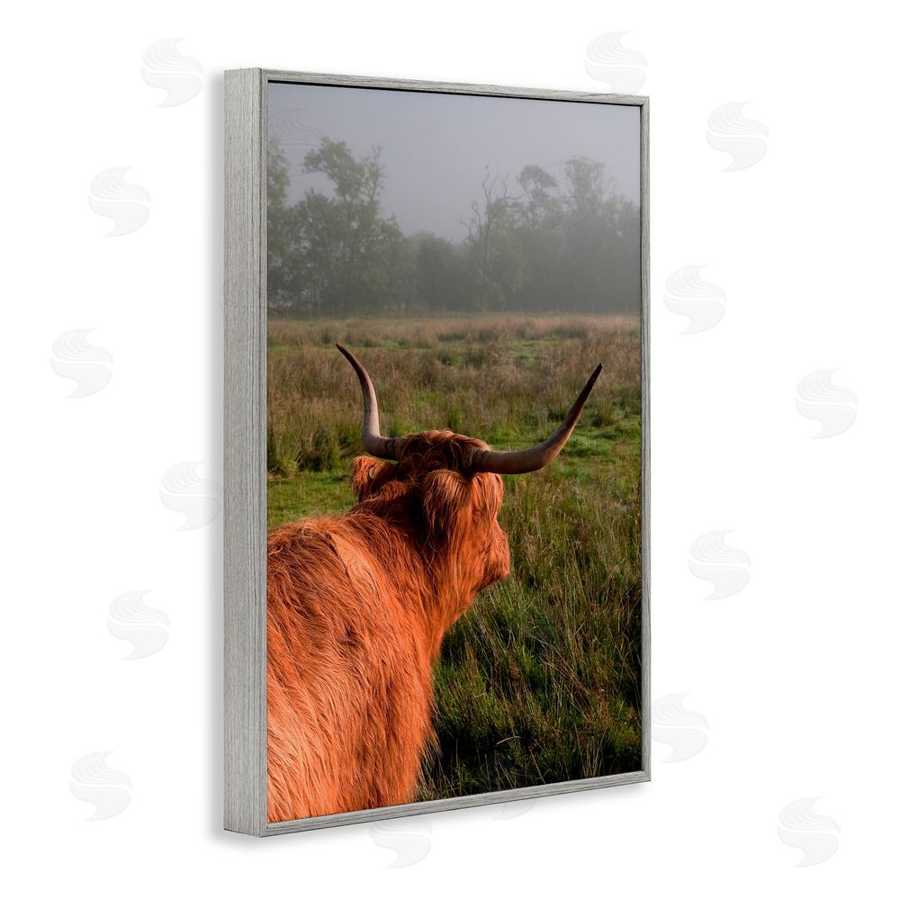 Jenny Rainbow Fine Art Highland Cow Gazing Out Gray Framed Giclee Print Wall Art