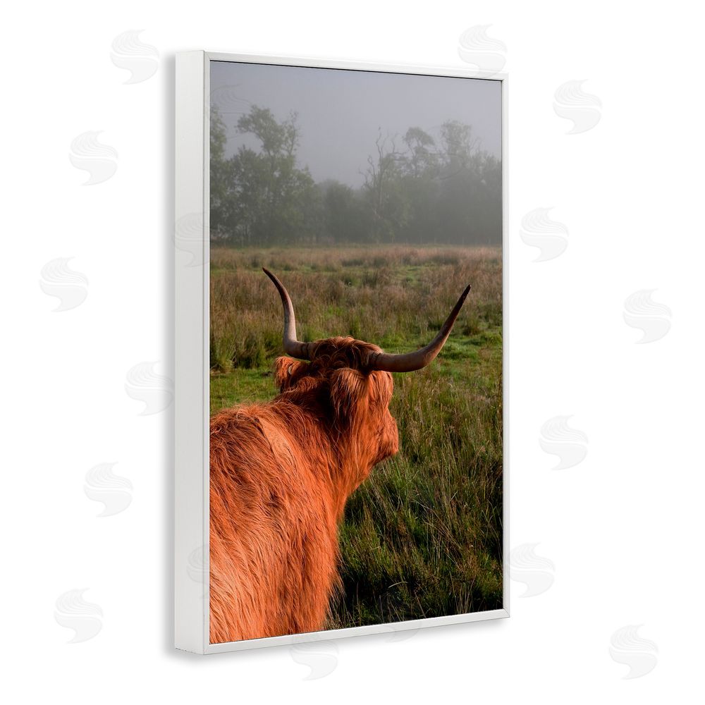 Jenny Rainbow Fine Art Highland Cow Gazing Out White Framed Giclee Print Wall Art