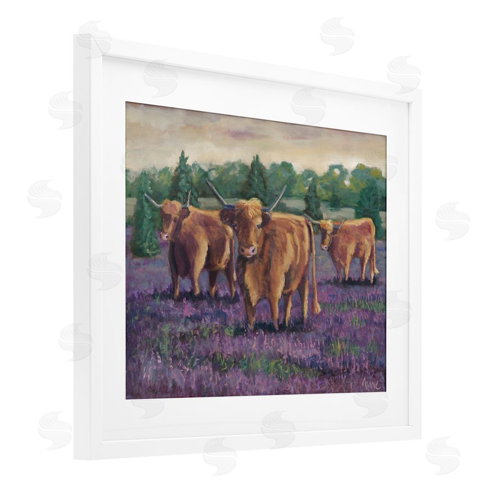 Marnie Bourque Purple Fields & Cows White Framed Print Under Glass Wall Art