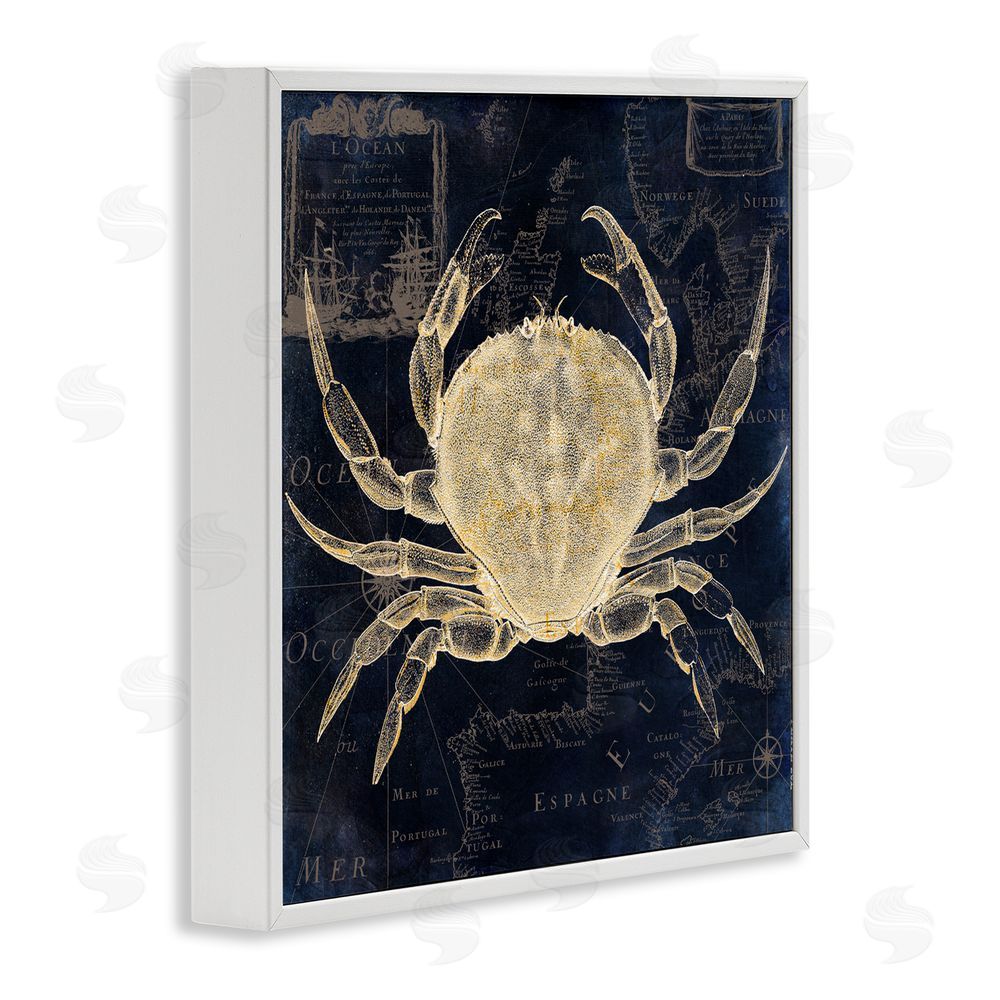 Sasha Crab Contour over Map White Framed Giclee Print Wall Art