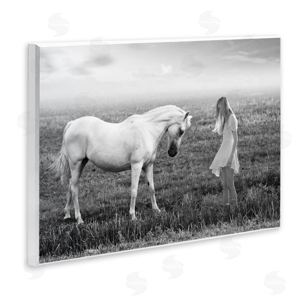 Ata Alishahi Her White Horse Wooden Wall Plaque Art Print
