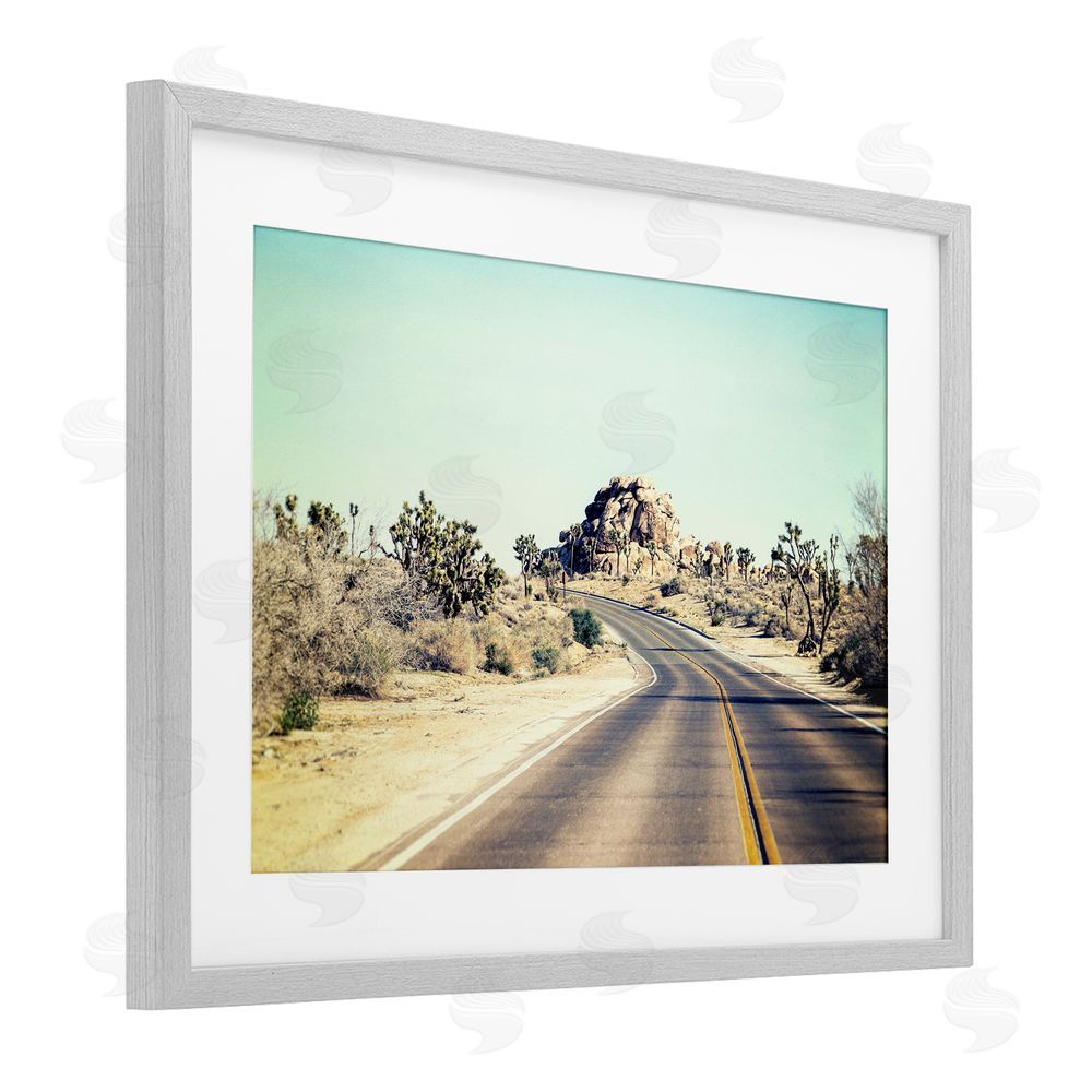 Joseph S Giacalone Road Trip Joshua Tree Park Gray Framed Print Under Glass Wall Art