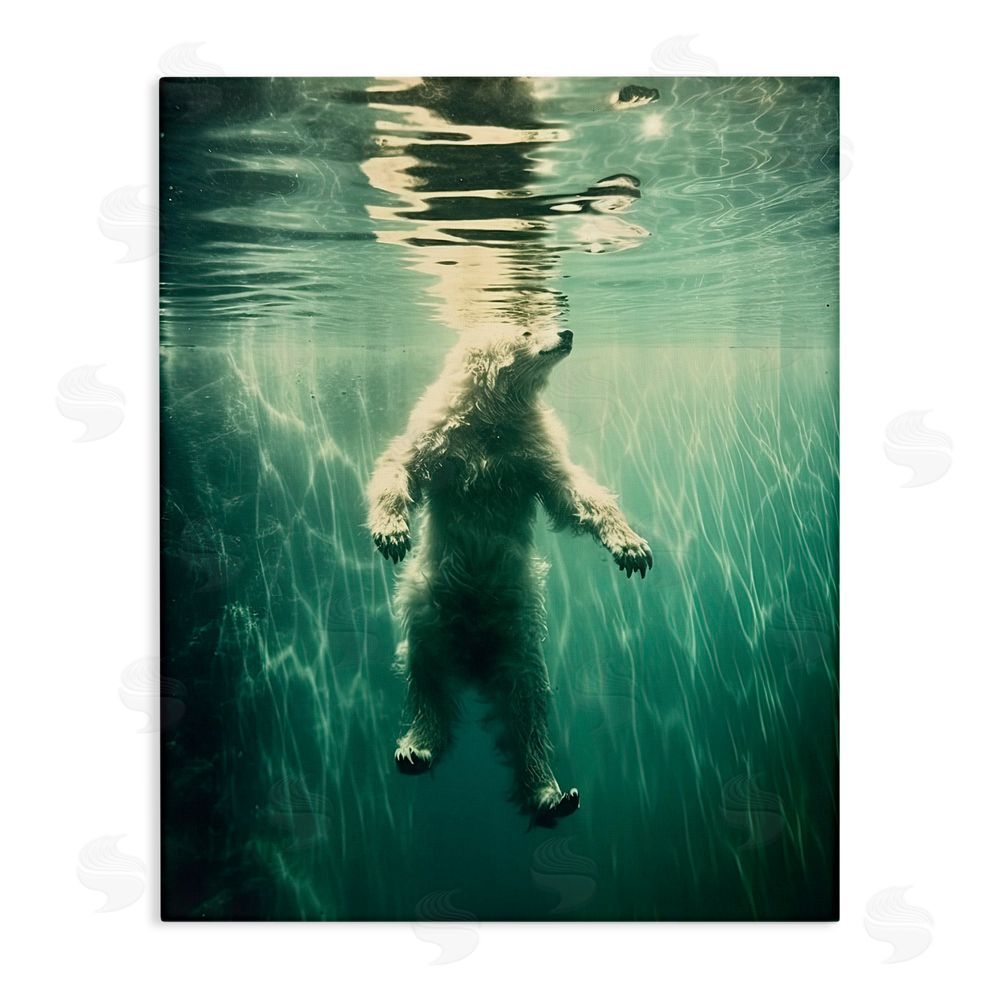 Decent Exposures Floating Bear Underwater Stretched Canvas Wall Art Print