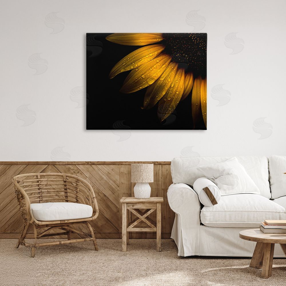 Brian Carson Photography Water Droplets on Sunflower Stretched Canvas Wall Art Print in Room