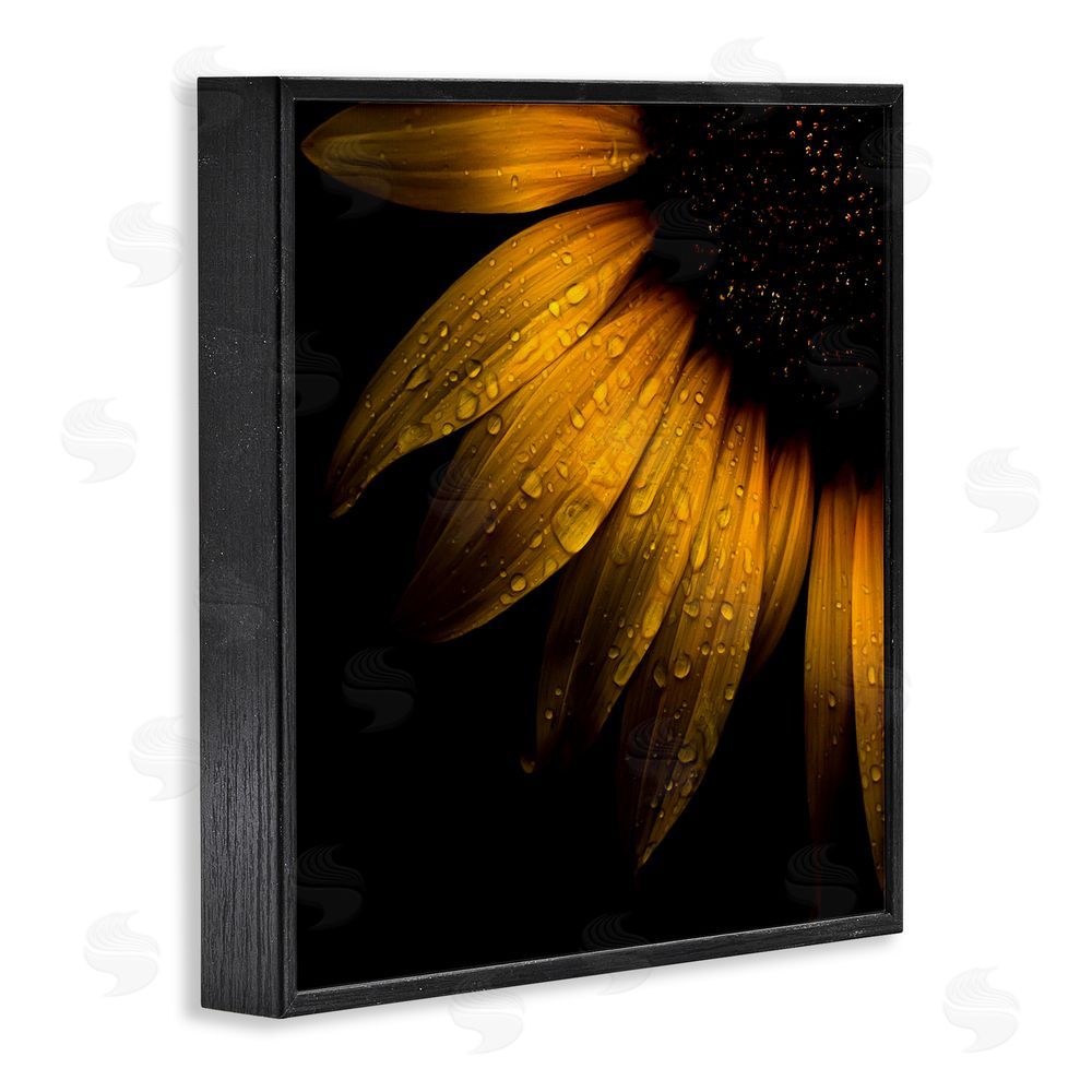 Brian Carson Photography Sunflower Detail with Droplets Black Framed Giclee Print Wall Art