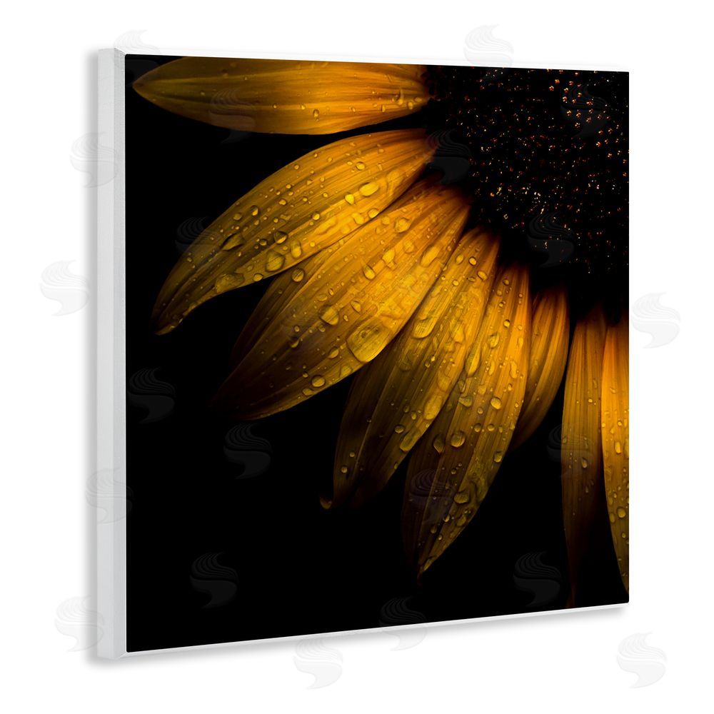 Brian Carson Photography Sunflower Detail with Droplets Wooden Wall Plaque Art Print