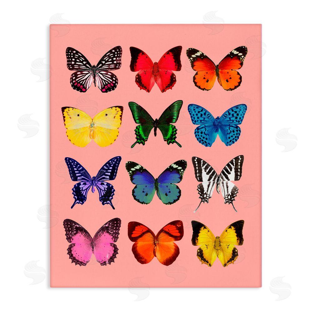 LISH Creative Butterfly Species on Pink Stretched Canvas Wall Art Print