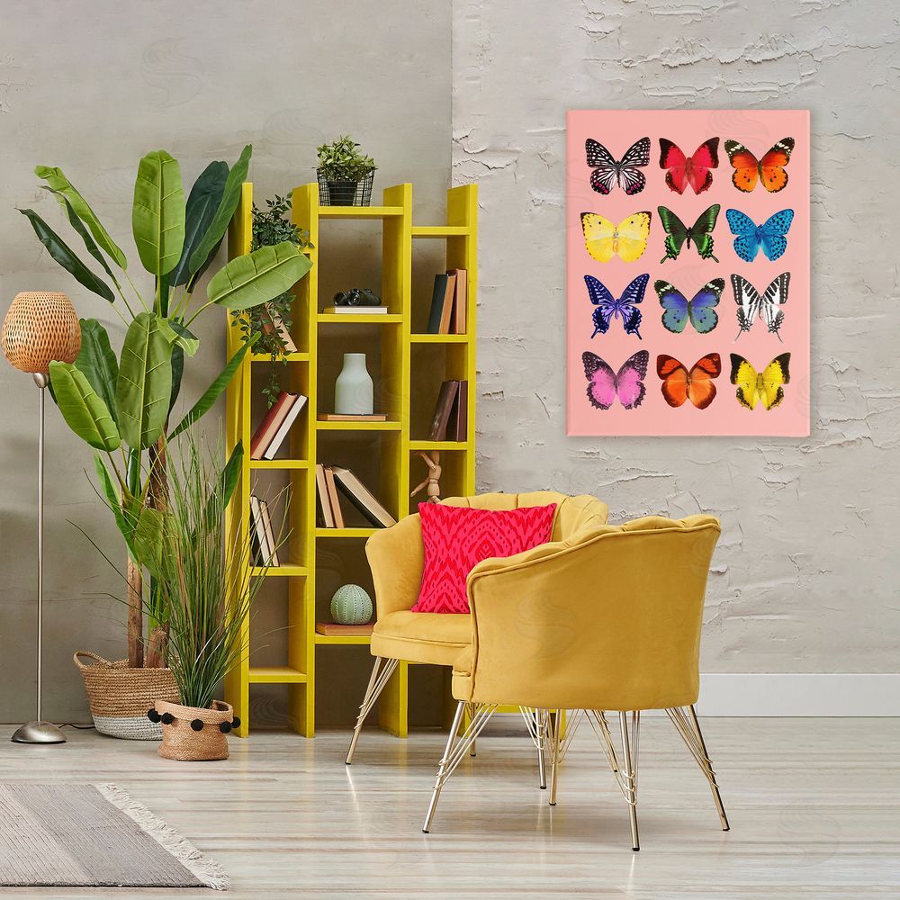 LISH Creative Butterfly Species on Pink Stretched Canvas Wall Art Print in Room